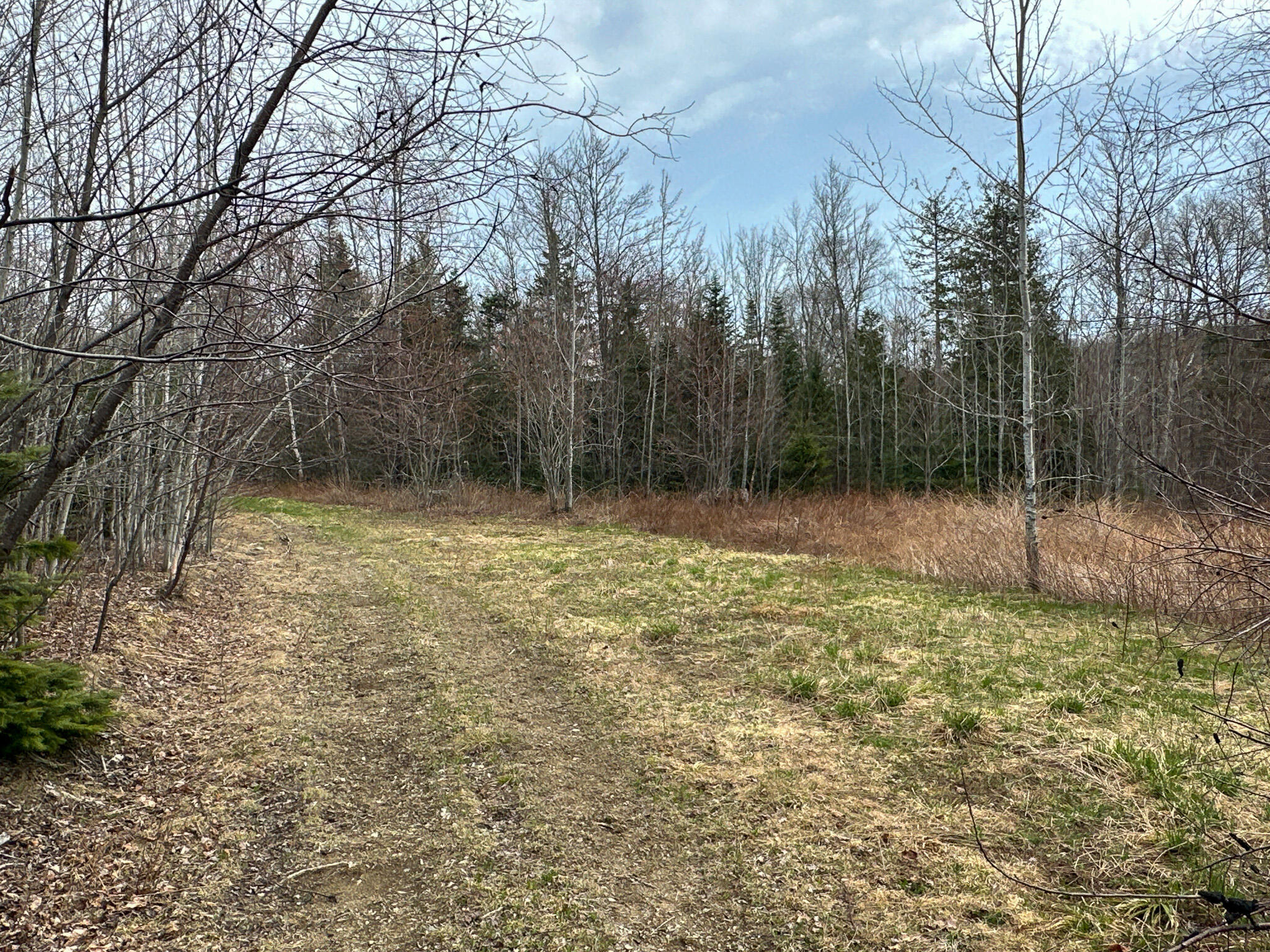 242 Bottle Lake Road Springfield, ME 04487 - Photo 45 of 47 50