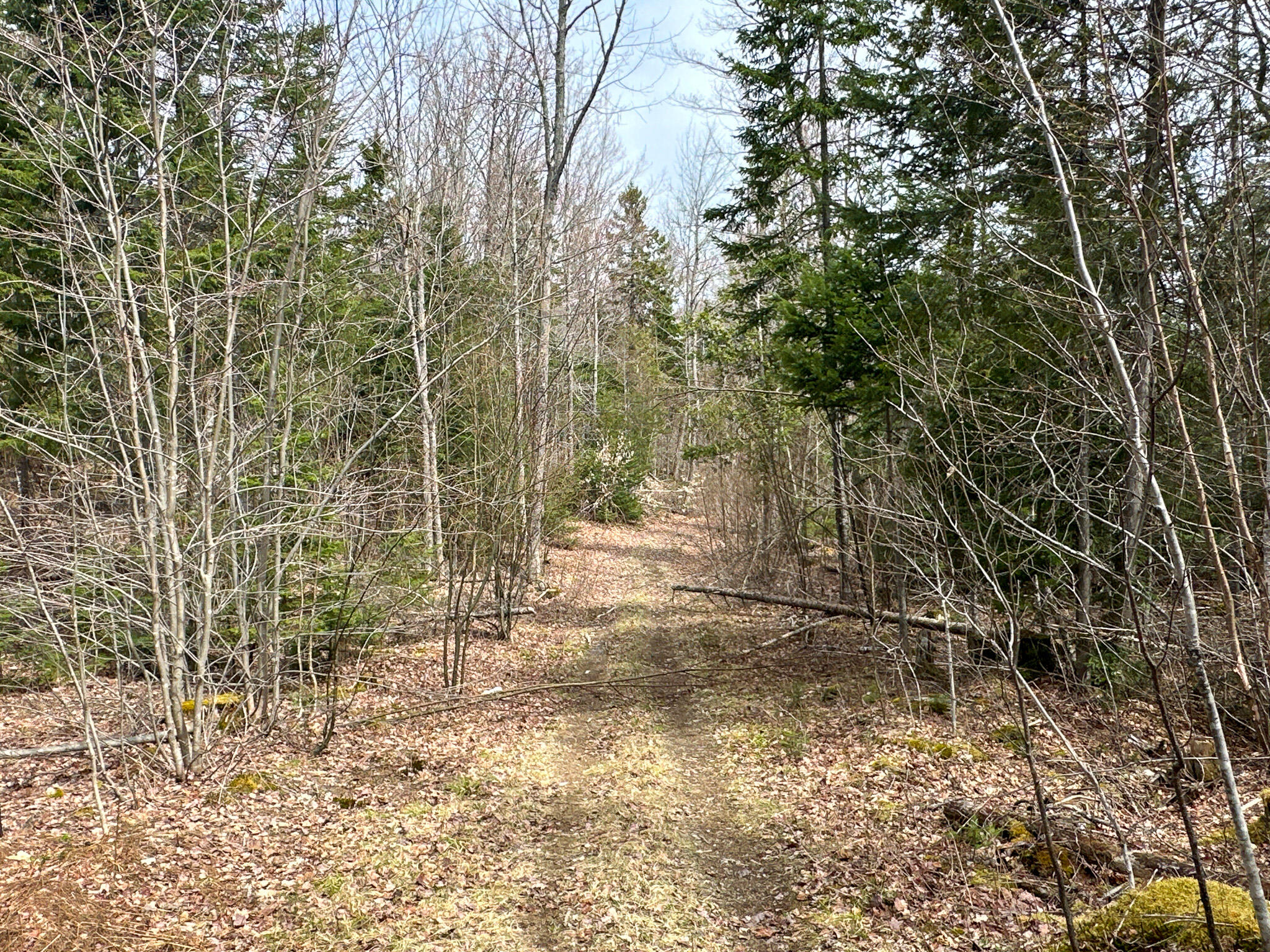 242 Bottle Lake Road Springfield, ME 04487 - Photo 46 of 47 51