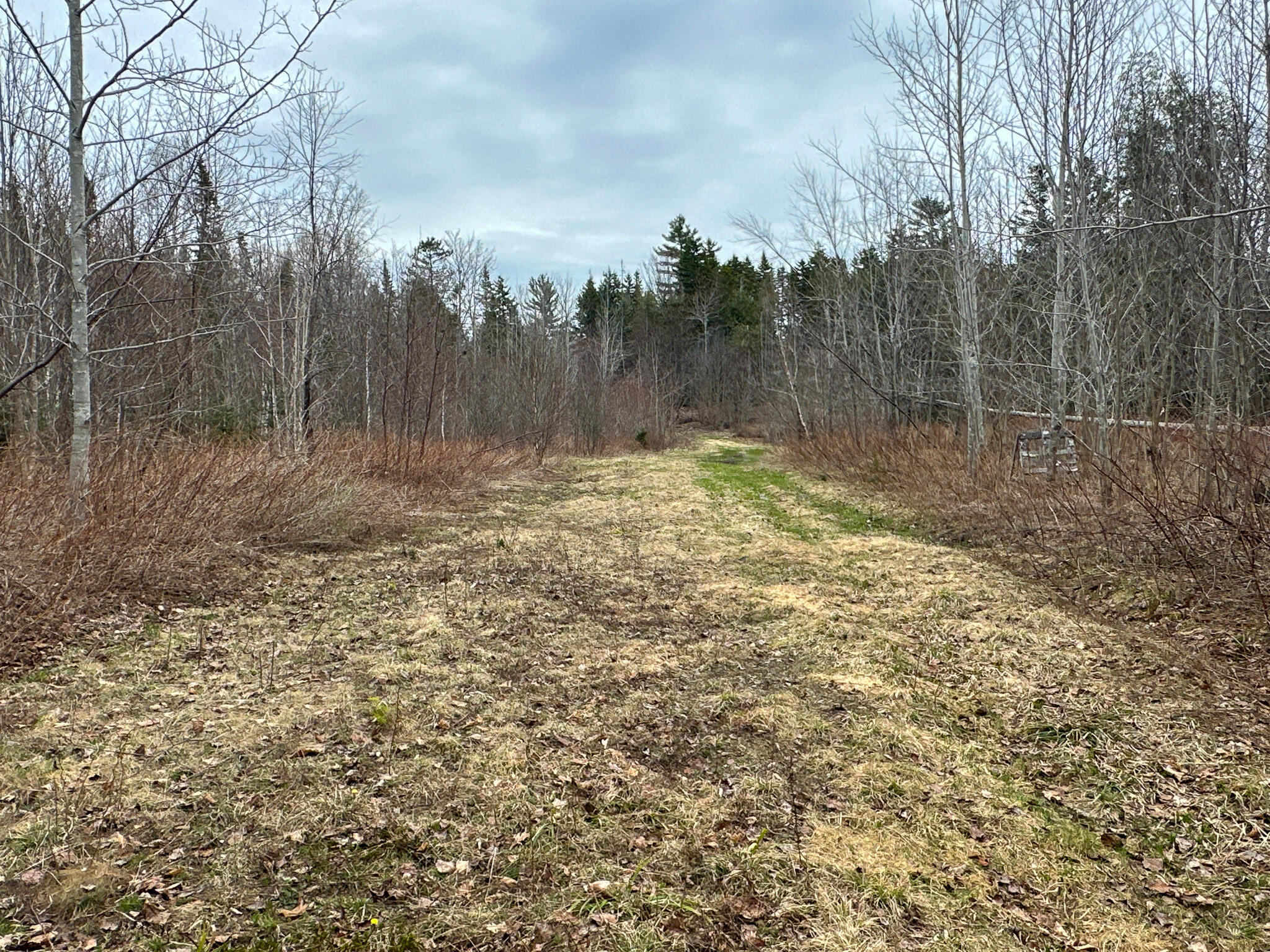 242 Bottle Lake Road Springfield, ME 04487 - Photo 47 of 47 52