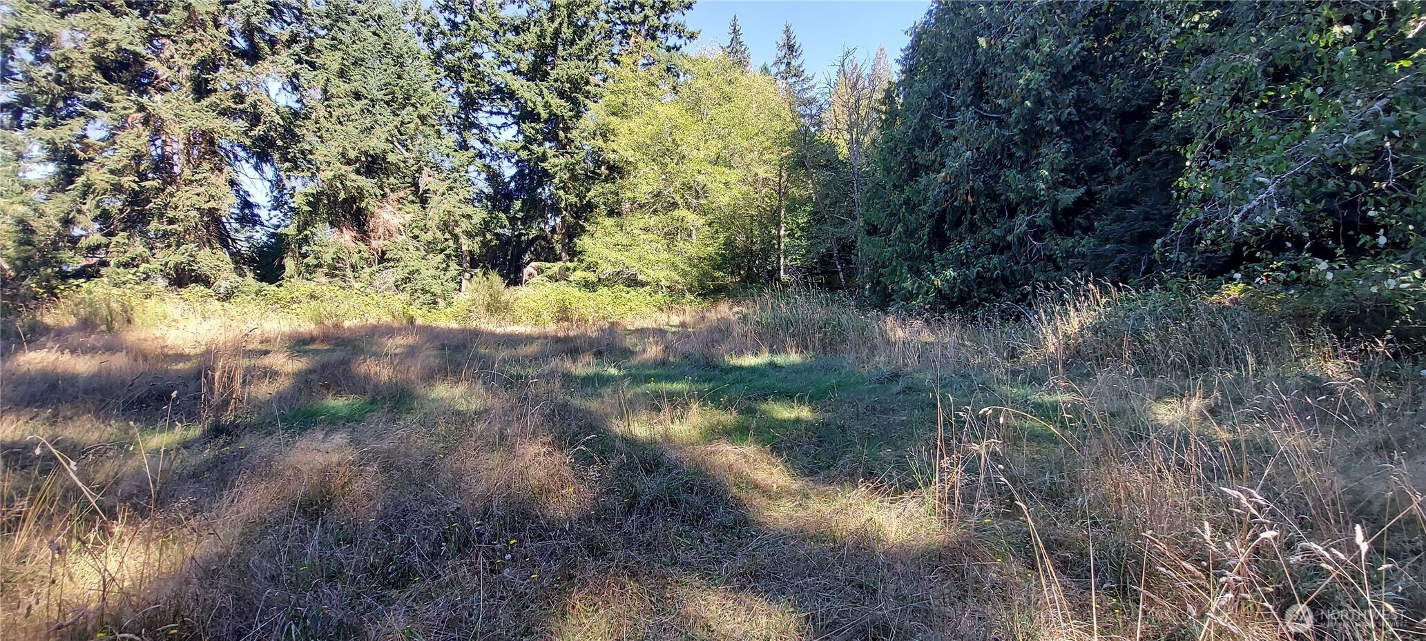 5881 Kramer Road Langley, WA 98260 - Photo 2 of 5 Gallery Image 2