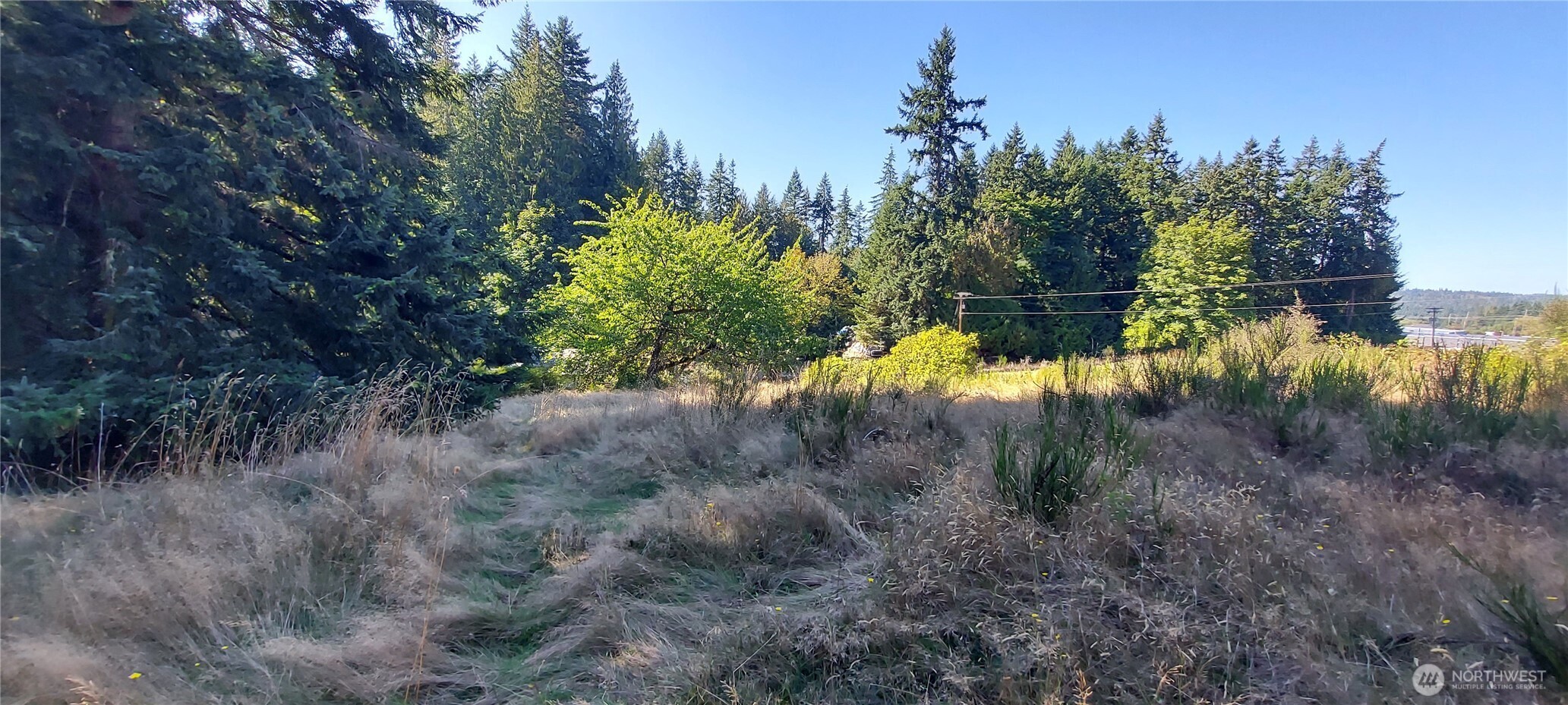 5881 Kramer Road Langley, WA 98260 - Photo 3 of 5 Gallery Image 3