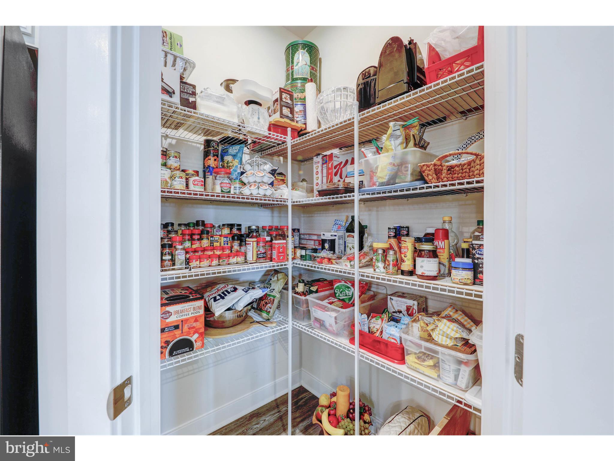 28404 Reef Drive Selbyville, DE 19975 - Photo 16 of 52 Pantry with built in storage shelving