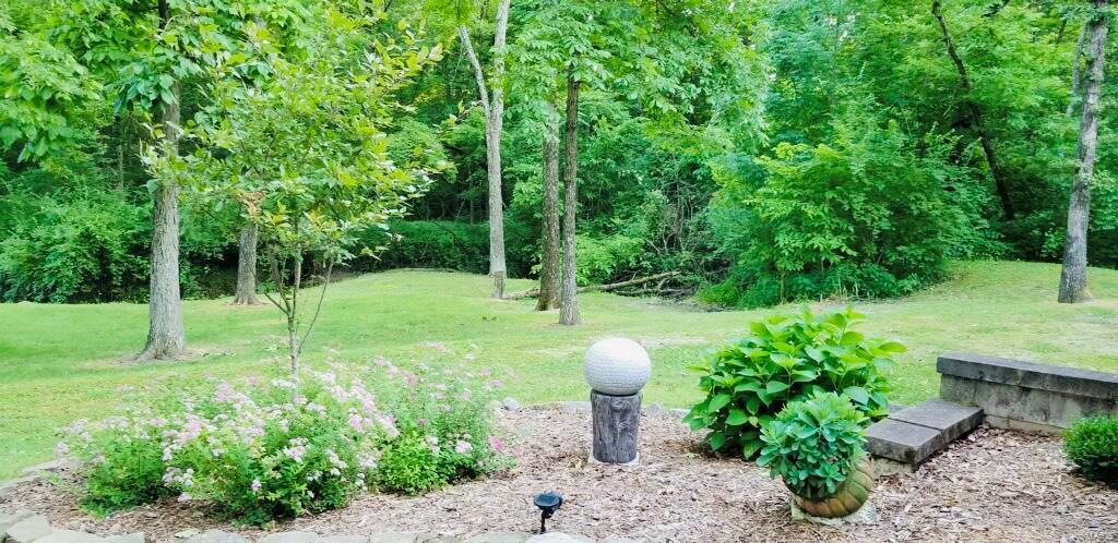 1183 Country Club Road Greenville, IL 62246 - Photo 9 of 55 Gallery Image 9