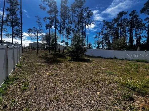 a view of a yard with large trees