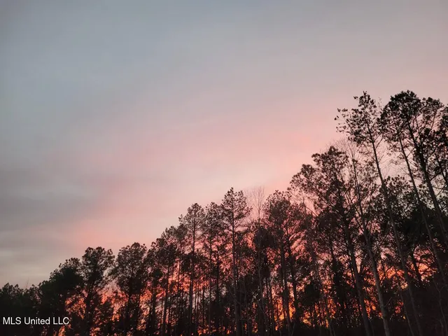 $269,000 | 1788 County Road, Water Valley, MS 38965