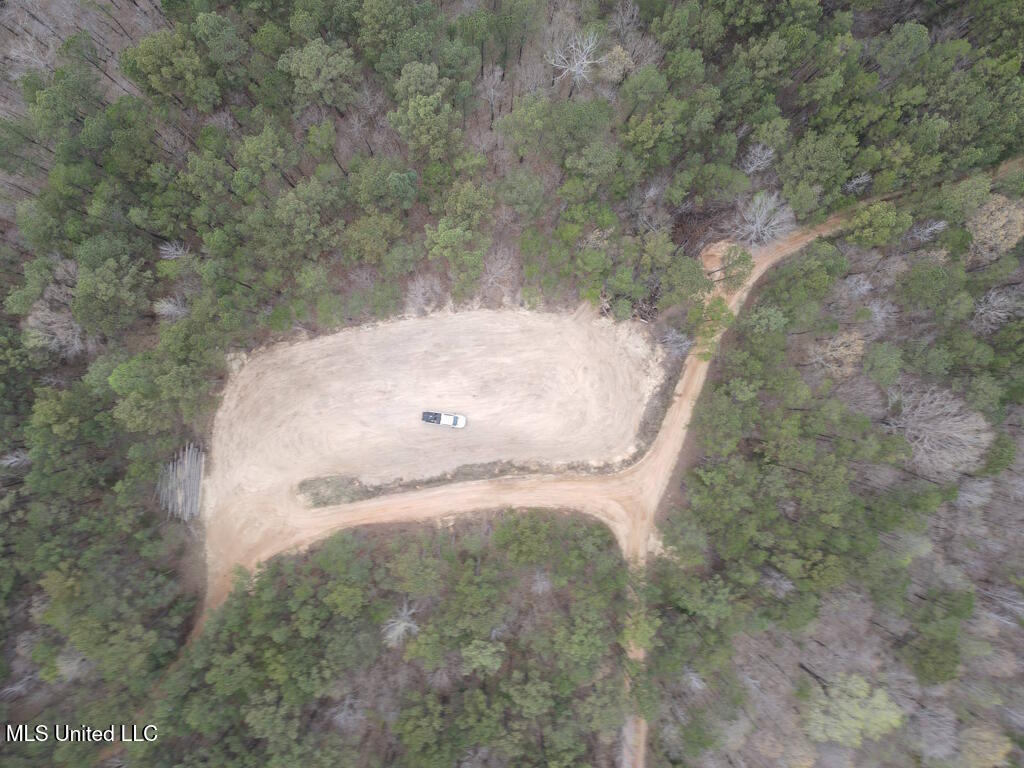 1788 County Road Water Valley, MS 38965 - Photo 4 of 17 4