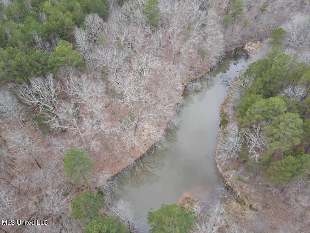 1788 County Road Water Valley, MS 38965 - Photo 5 of 17 5