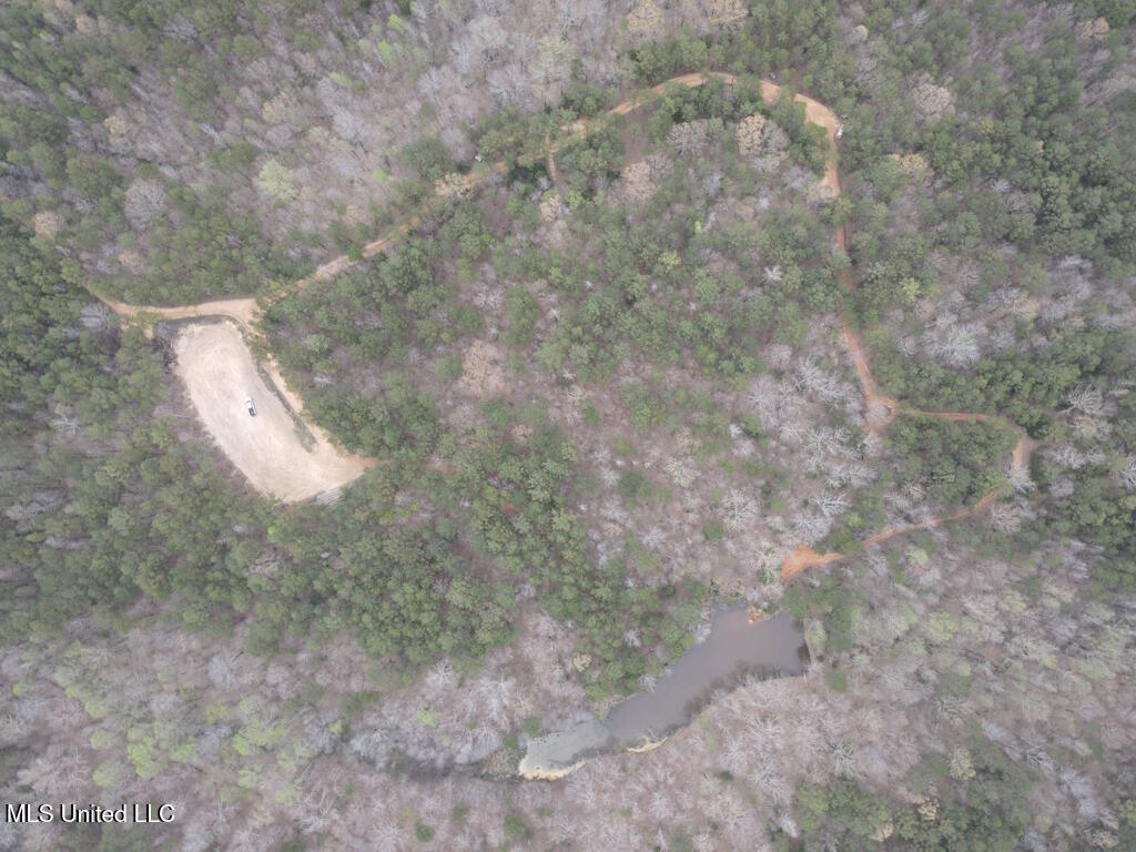 1788 County Road Water Valley, MS 38965 - Photo 7 of 17 7