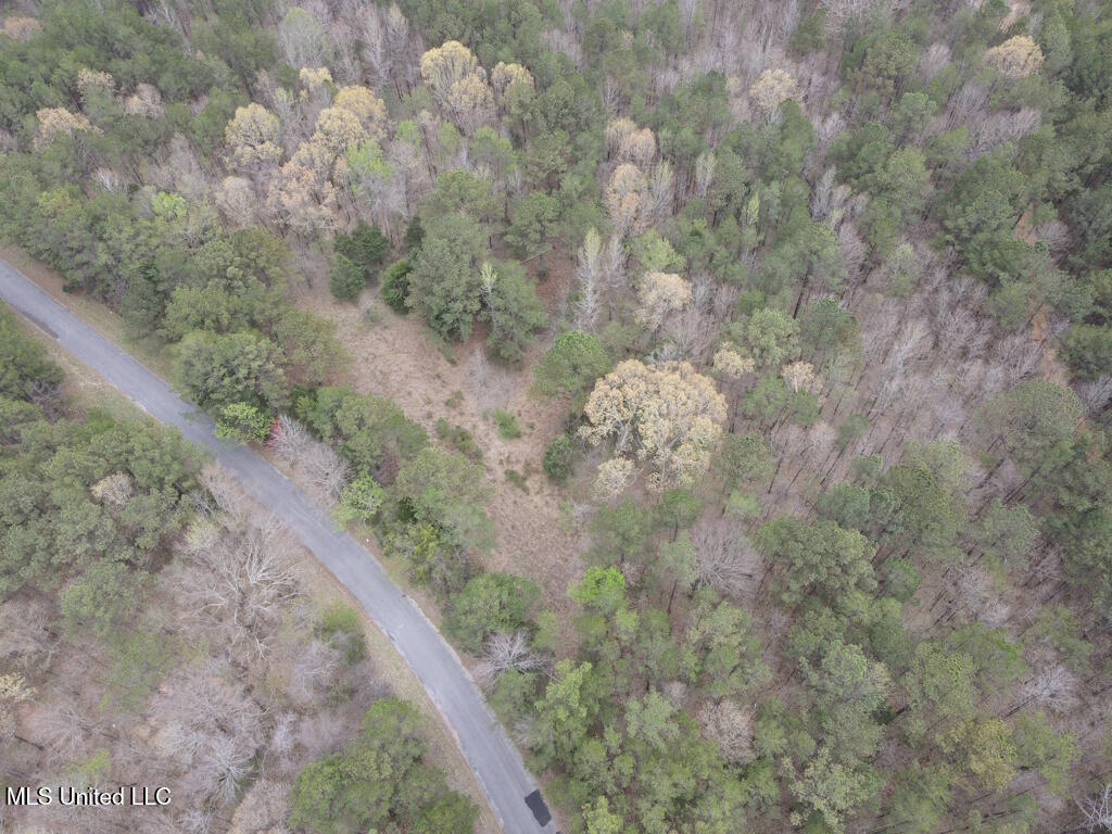 1788 County Road Water Valley, MS 38965 - Photo 8 of 17 8