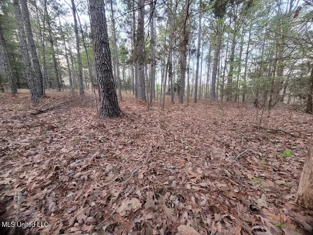$269,000 | 1788 County Road, Water Valley, MS 38965