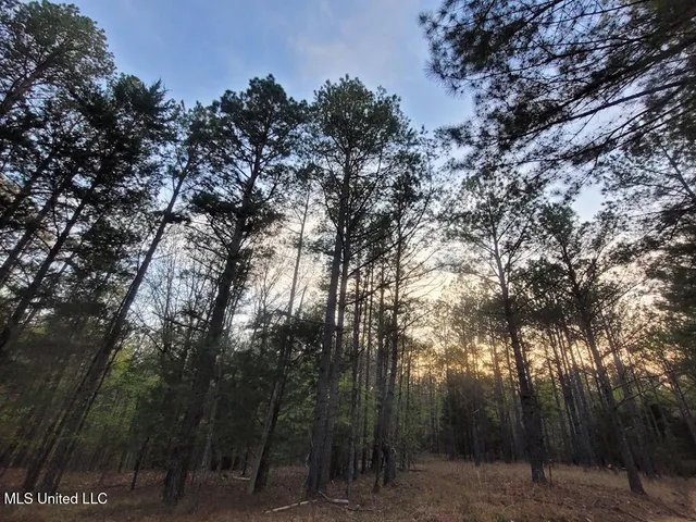 $269,000 | 1788 County Road, Water Valley, MS 38965