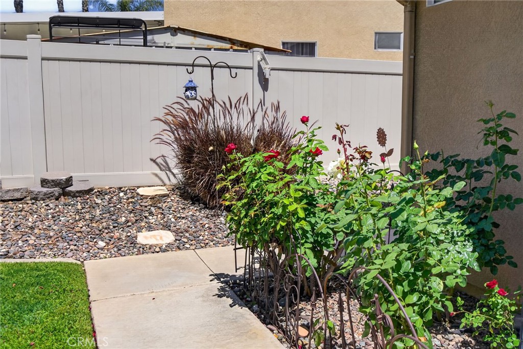 19584 Jill Court Riverside, CA 92508 - Photo 25 of 31 a view of a potted plants on a wall