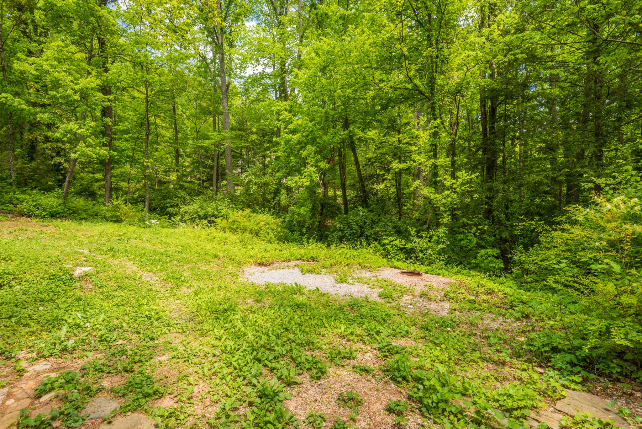 5901 Ridgewood Road Knoxville, TN 37918 - Photo 25 of 26 Gallery Image 25