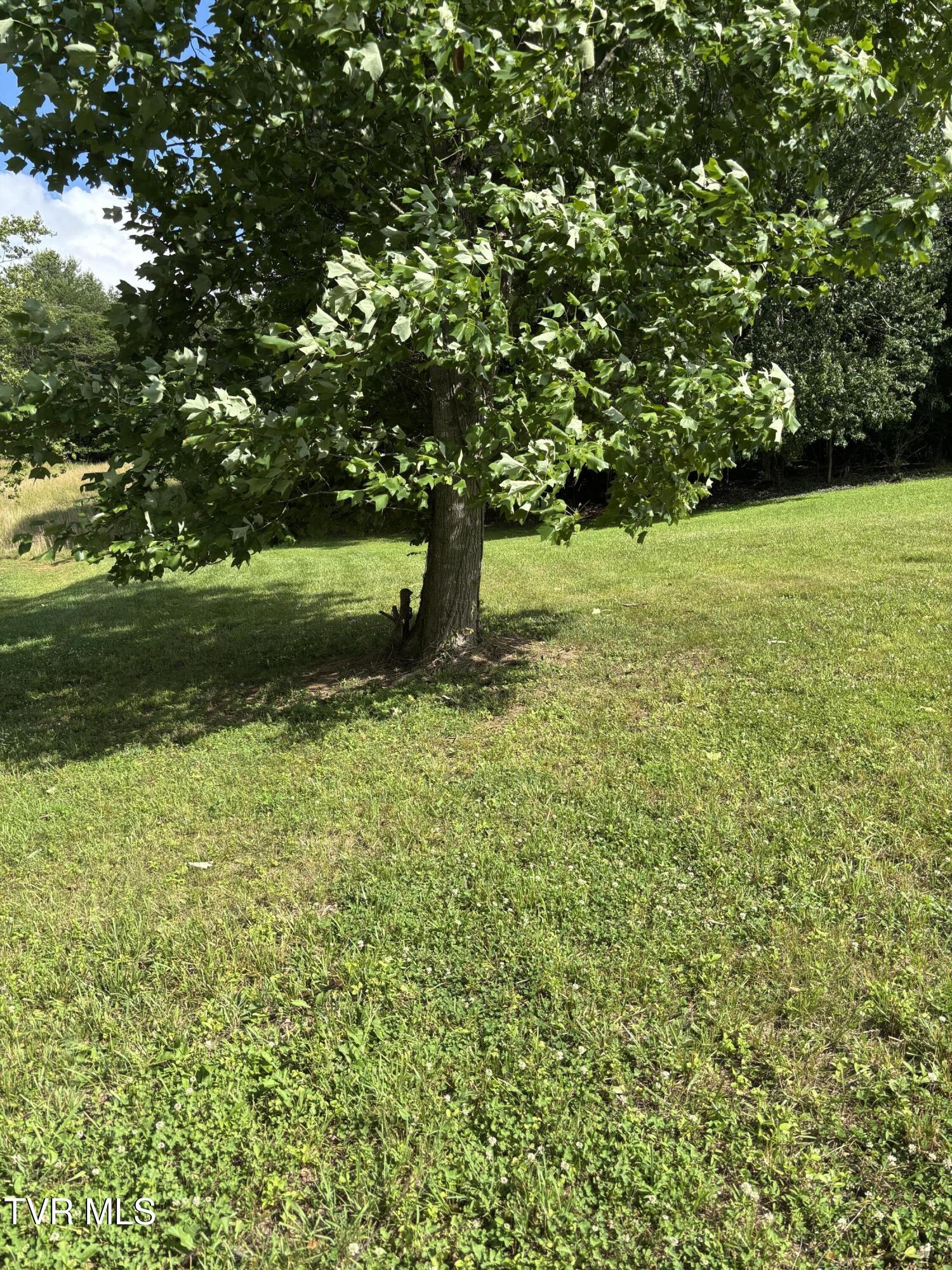 1095 Reynolds Road, Unit 29 Piney Flats, TN 37686 - Photo 10 of 13 IMG_7165 - Copy