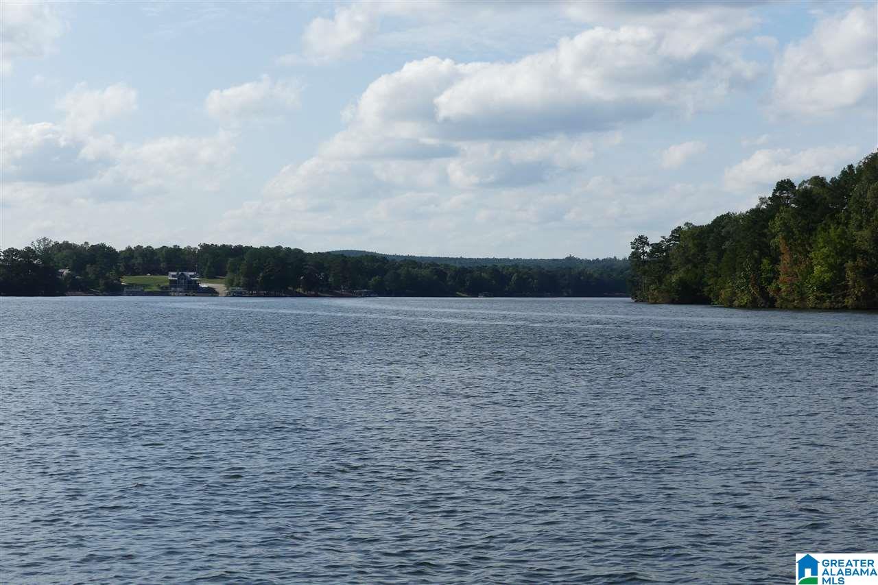 445 County Road 2402 Wedowee, AL 36278 - Photo 7 of 8
