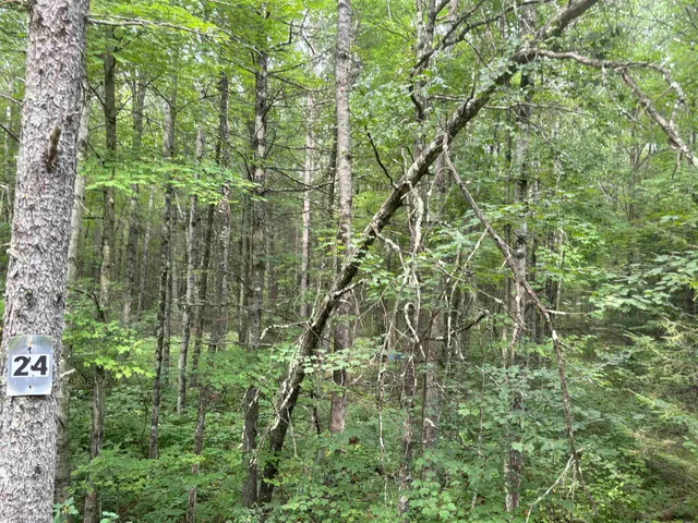 $19,500 | N1714 Hawks Nest Trail, Keshena, WI 54135