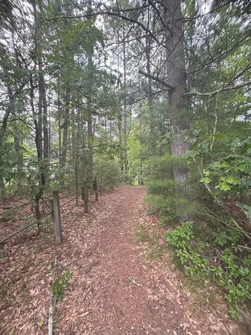 $19,500 | N1714 Hawks Nest Trail, Keshena, WI 54135