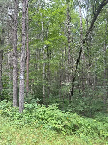 $19,500 | N1714 Hawks Nest Trail, Keshena, WI 54135