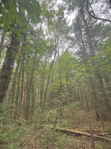 $19,500 | N1714 Hawks Nest Trail, Keshena, WI 54135