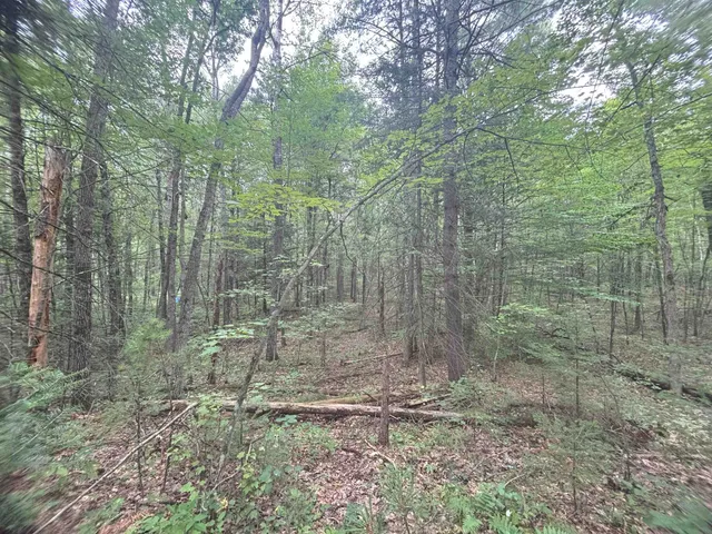 $19,500 | N1714 Hawks Nest Trail, Keshena, WI 54135