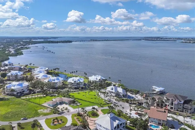 a view of a flower in a yard