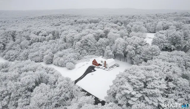 a view of a dry yard with trees