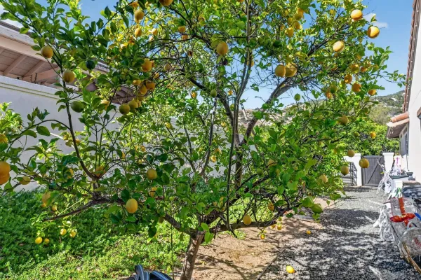 $1,279,000 | 14713 Interlachen Terrace, Valley Center, CA 92082