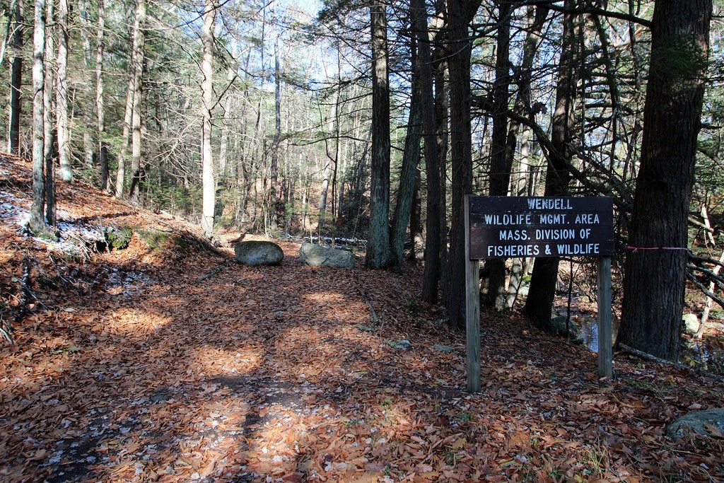 0 Lockes Village Road Wendell, MA 01379 - Photo 13 of 14 Gallery Image 13
