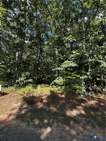 a view of a tree with a yard