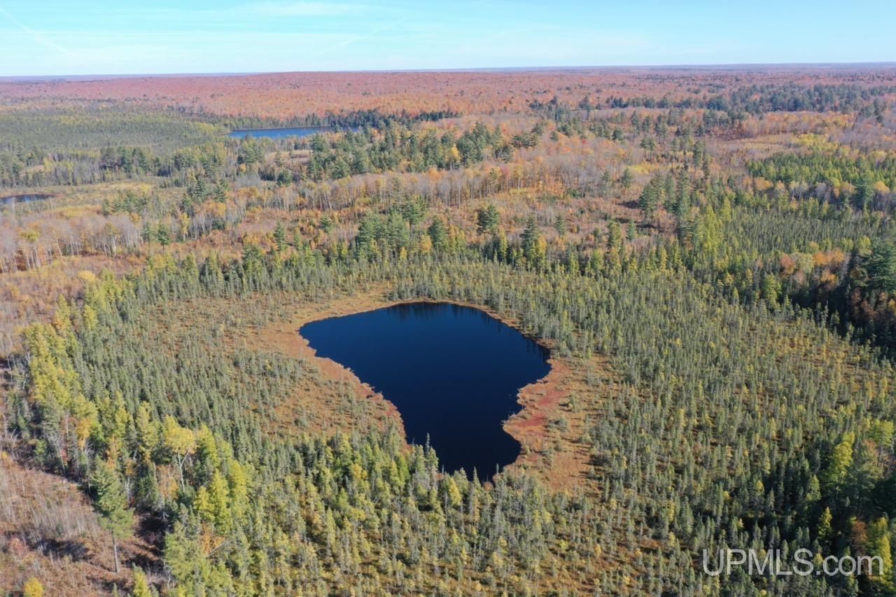 527 Usfs Road Iron River, MI 49935 - Photo 20 of 37