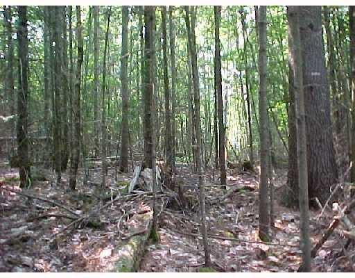 Tbd Kidder Hill Road Holden, ME 04429 - Photo 3 of 4 Photo