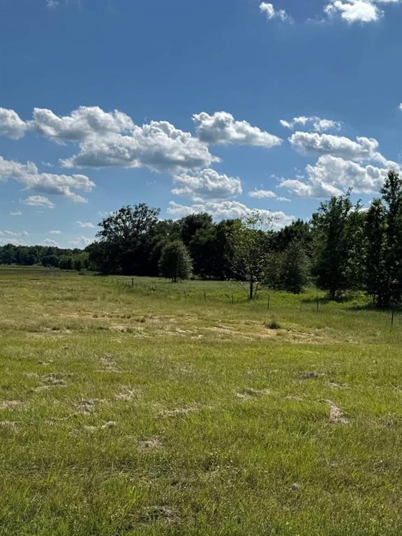 5100 Fm 2909 Canton, TX 75103 - Photo 12 of 33