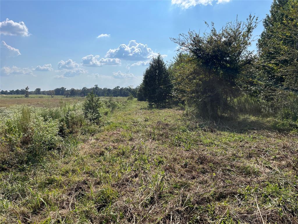 5100 Fm 2909 Canton, TX 75103 - Photo 15 of 33