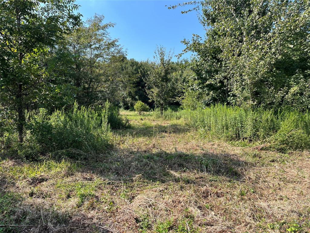 5100 Fm 2909 Canton, TX 75103 - Photo 16 of 33