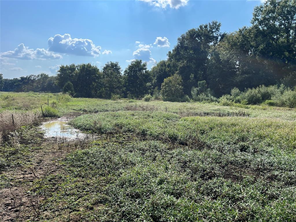 5100 Fm 2909 Canton, TX 75103 - Photo 19 of 33