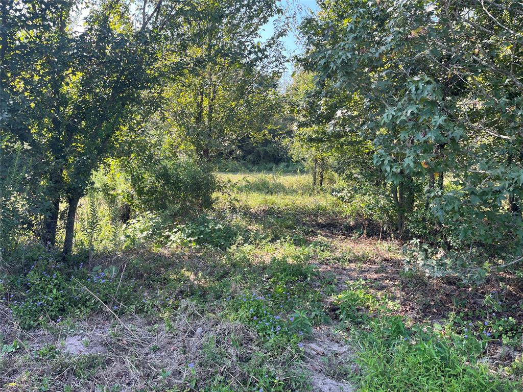 5100 Fm 2909 Canton, TX 75103 - Photo 20 of 33