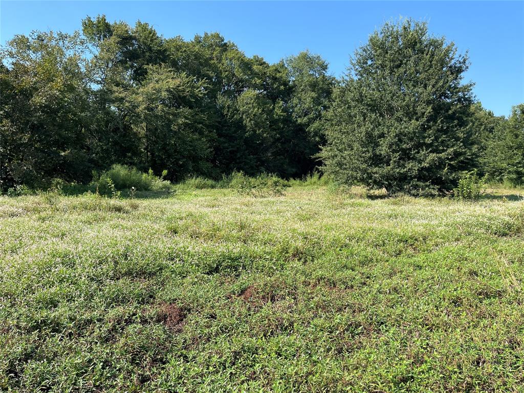 5100 Fm 2909 Canton, TX 75103 - Photo 21 of 33