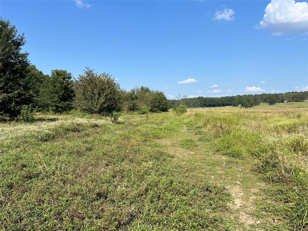 5100 Fm 2909 Canton, TX 75103 - Photo 22 of 33