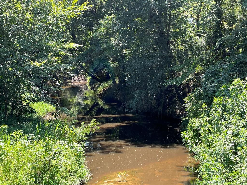 5100 Fm 2909 Canton, TX 75103 - Photo 25 of 33 Creek