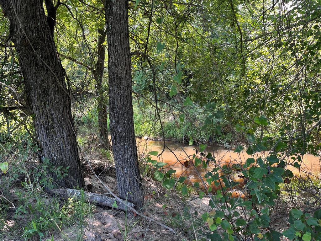 5100 Fm 2909 Canton, TX 75103 - Photo 26 of 33 Creek