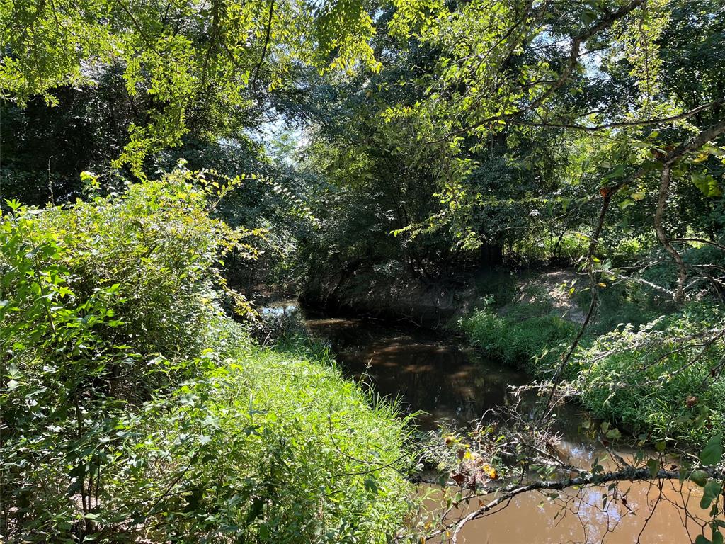5100 Fm 2909 Canton, TX 75103 - Photo 27 of 33 View of tree filled area with a water view