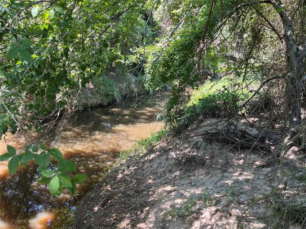 5100 Fm 2909 Canton, TX 75103 - Photo 28 of 33 More Creek