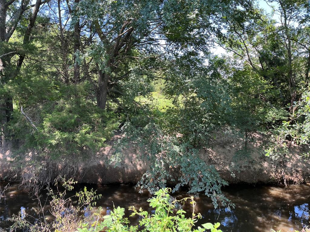 5100 Fm 2909 Canton, TX 75103 - Photo 30 of 33