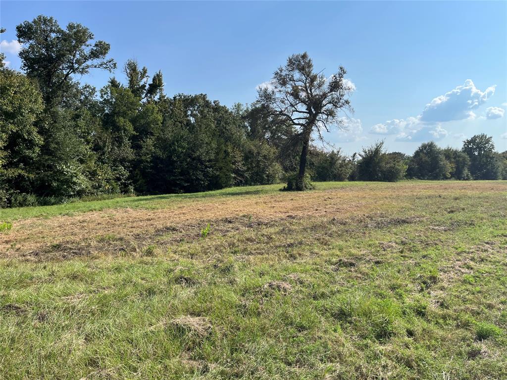 5100 Fm 2909 Canton, TX 75103 - Photo 3 of 33 Potential site for Home.