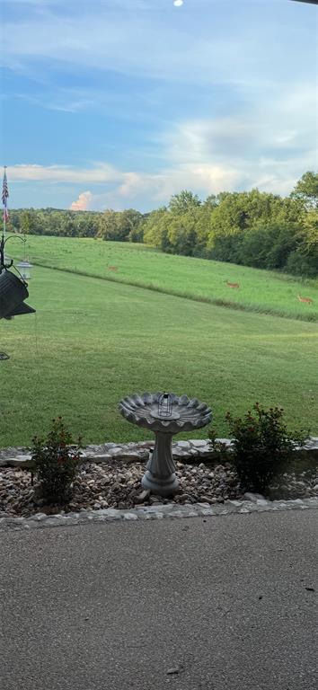 5100 Fm 2909 Canton, TX 75103 - Photo 33 of 33 Wildlife