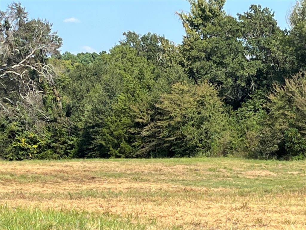 5100 Fm 2909 Canton, TX 75103 - Photo 4 of 33 Building Site
