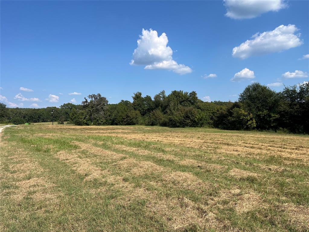 5100 Fm 2909 Canton, TX 75103 - Photo 5 of 33