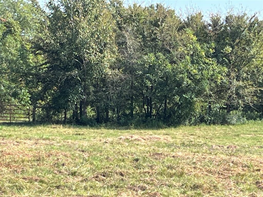 5100 Fm 2909 Canton, TX 75103 - Photo 6 of 33 Building Site