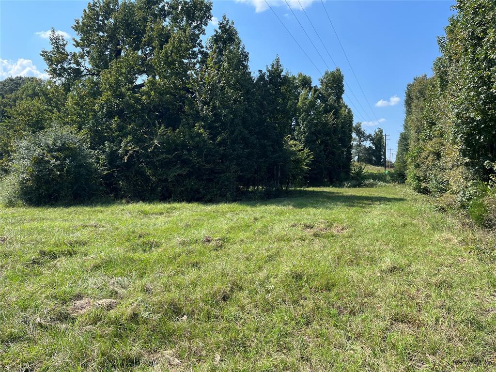 5100 Fm 2909 Canton, TX 75103 - Photo 9 of 33