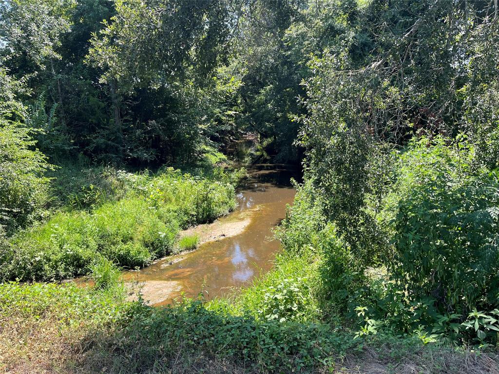 5100 Fm 2909 Canton, TX 75103 - Photo 10 of 33 Creek